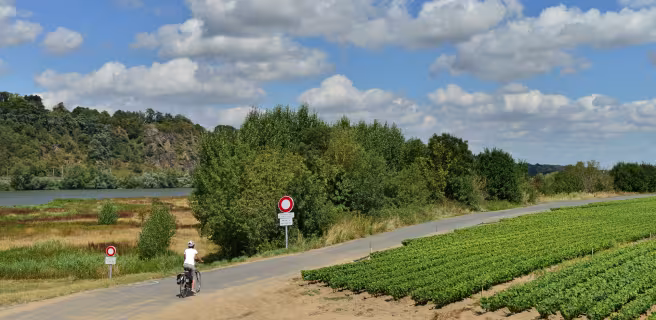 Champtoceaux / Mauves-sur-Loire