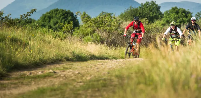 Volvic / Saint-Genès-Champanelle