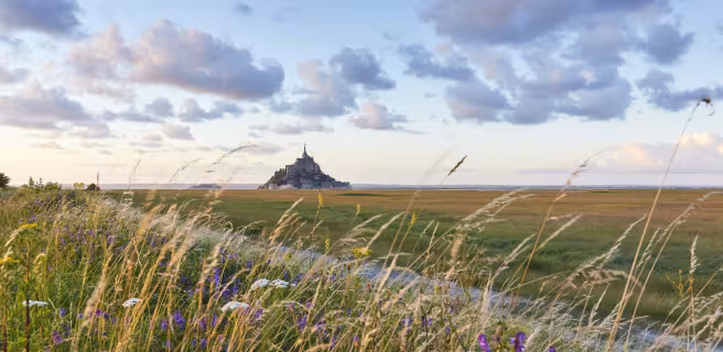 Vue du Mont-St Michel au loin, à travers champ