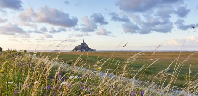 Vue du Mont-St Michel au loin, à travers champ