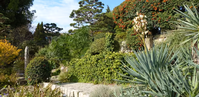 Jardin zen
