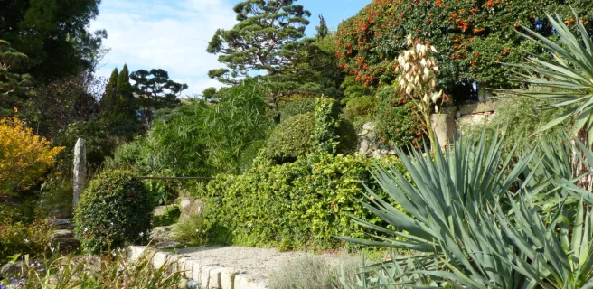 Jardin zen