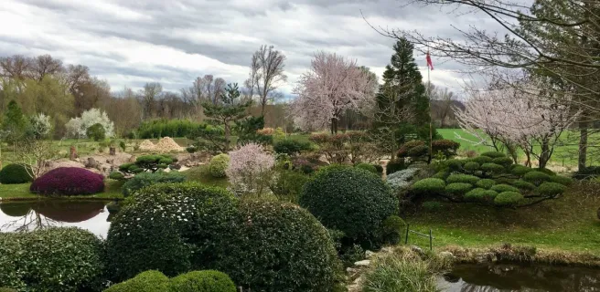 Erik Borja's zen garden
