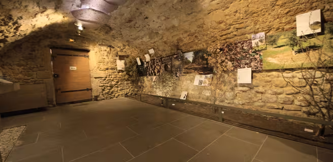 Exposition photos - Musée de la truffe et du vin