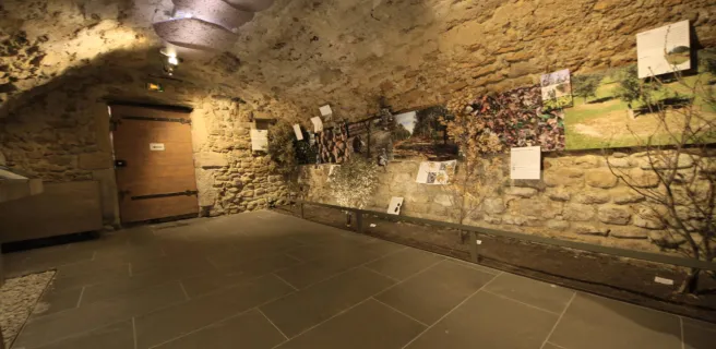 Exposition photos - Musée de la truffe et du vin