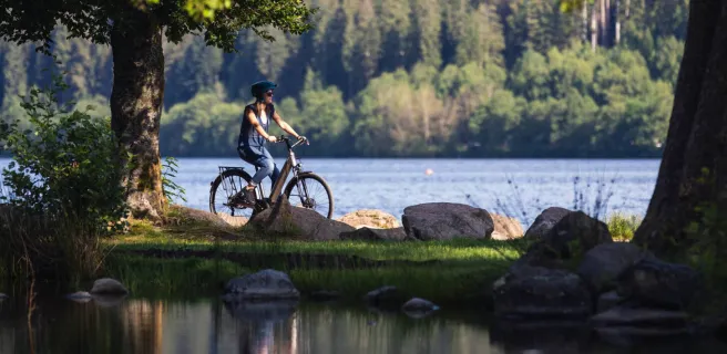Bike rental, sales, repairs and mountain bike holidays - Cycles AMC7