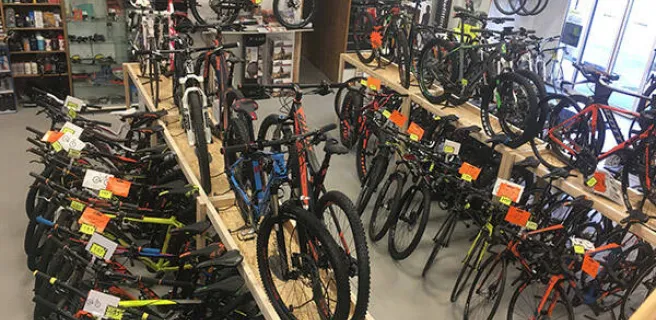 Mout'n Bike