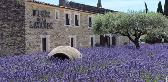 Musée de la Lavande