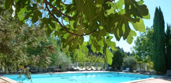 Les Cerisiers Campsite