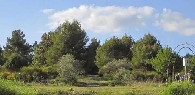 Vue Générale Camping à La Ferme Roumavagi