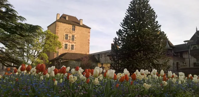 Château des ducs de Bourbon