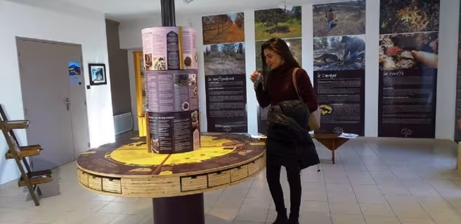 Ventoux Truffle museum