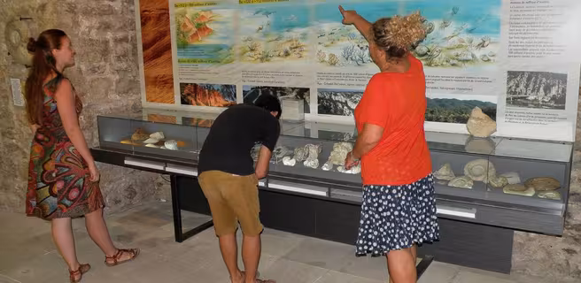 Park House Geology Museum