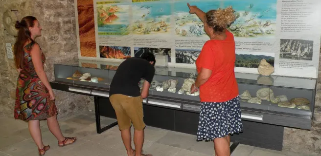 Park House Geology Museum