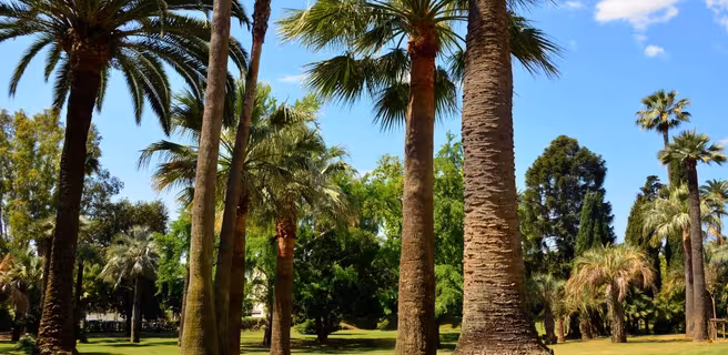 Villa Rothschild's gardens