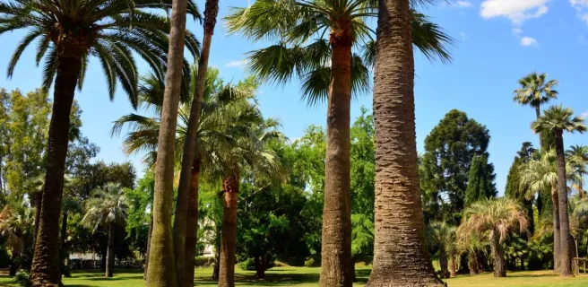 Villa Rothschild's gardens