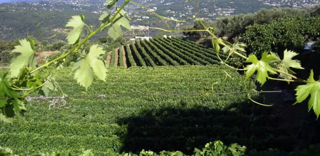 Domaine de la Source