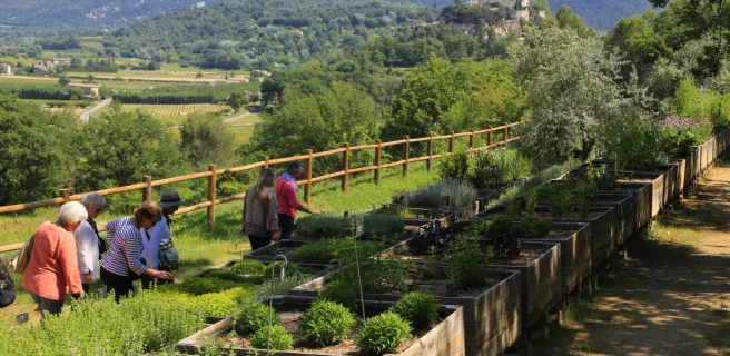 The Citadelle Botanical Garden