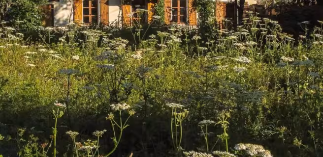 Grand gîte Narcisse