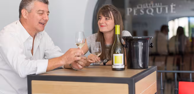 Introduction to tasting at Château Pesquié