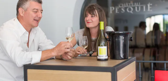 Introduction to tasting at Château Pesquié