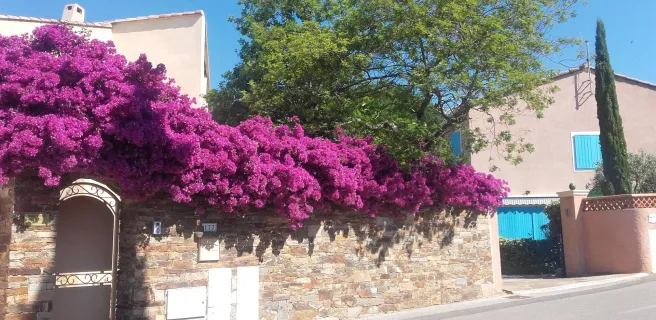 Appartement - 34 m² - 4 pers