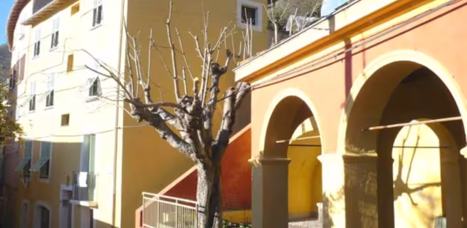 Fontana de Medge - Façade