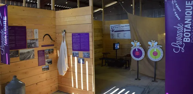 The lavenderscope & the gallery of time