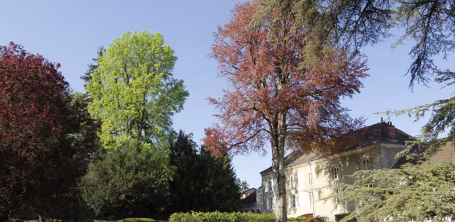 La maison d'hôtes et son parc