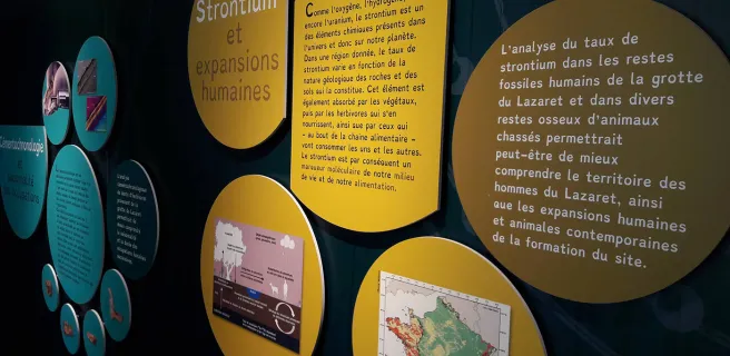Que nous apprennent les métiers de l'archéologie ?
