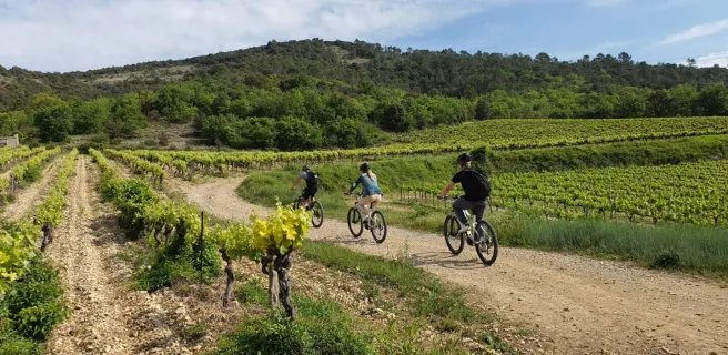 ALLVELO, local electric bike tours, sports outings and events