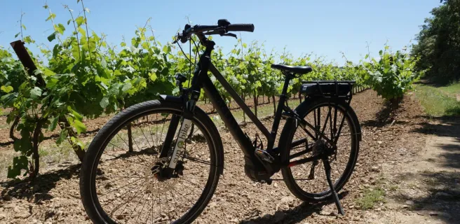 Sun-E-Bike - Magasin de vélo dans le Luberon (Location - Vente - Réparation)