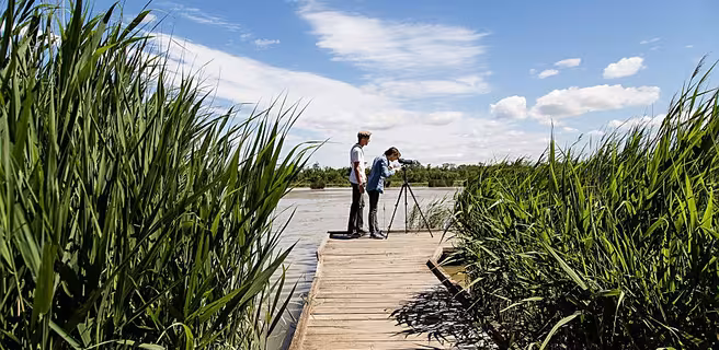 The marshes of the Vigueirat