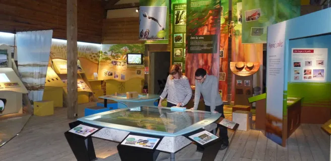 Intérieur de la Maison du Fier