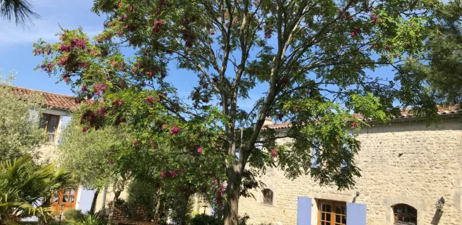 Bed and breakfast 12 people - L'Escale de Mortagne