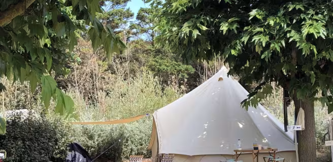 Tipi