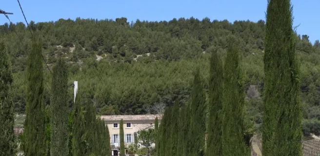 la MaiZon
