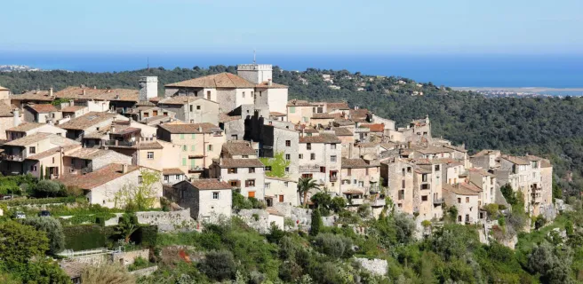 Confectionner son bouquet de violettes