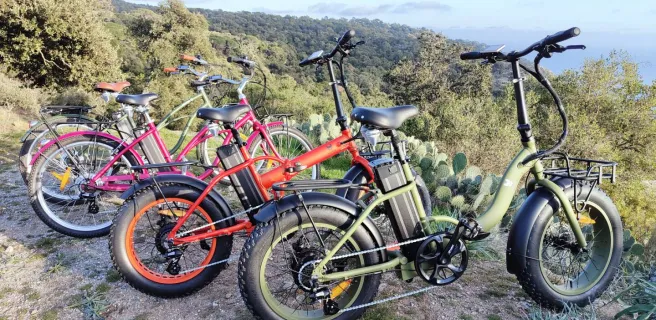 Vélos crêtes