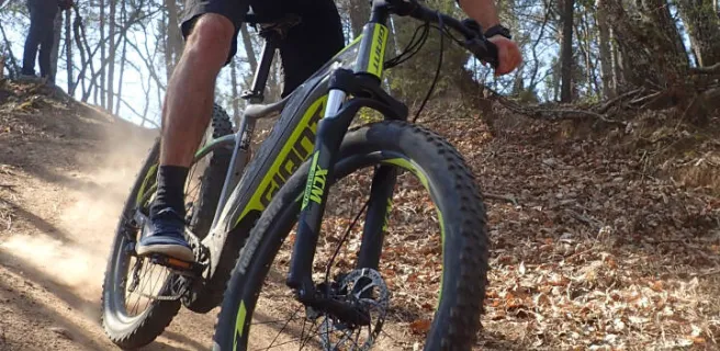Le Bois des Bruyères" VTTAE trail ride