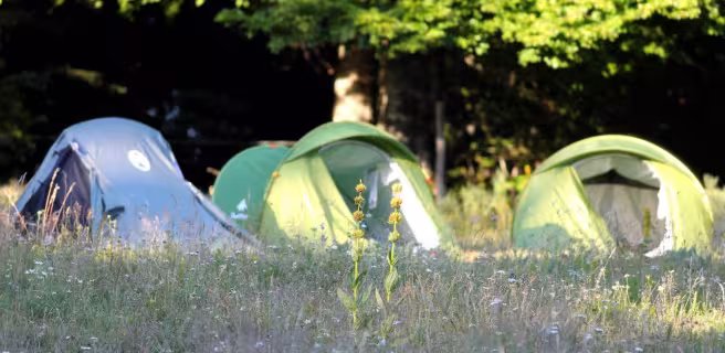 Burzet - Bivouac du Pré du bois 1 ©o.mathis