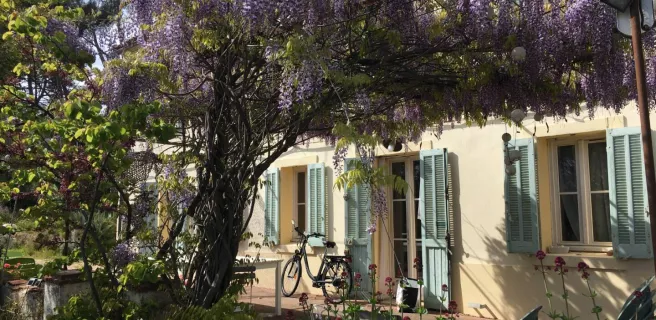 GLYCINE
