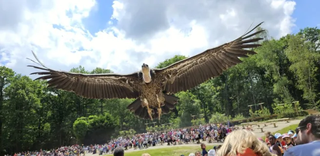 Espace Rambouillet_Sonchamp