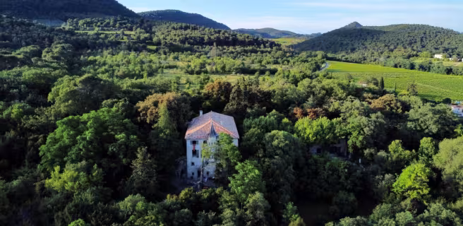 Le Domaine Daulone donne directement sur le parc des Dentelles de Montmirail et du Mont Ventoux