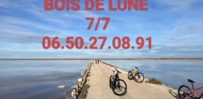 Bois de lune bike rental