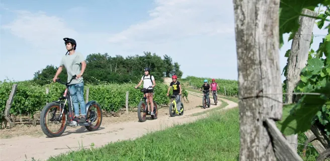 Bike Service activités