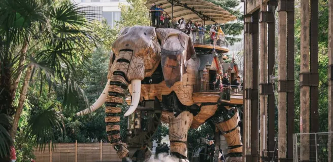 Grand éléphant
