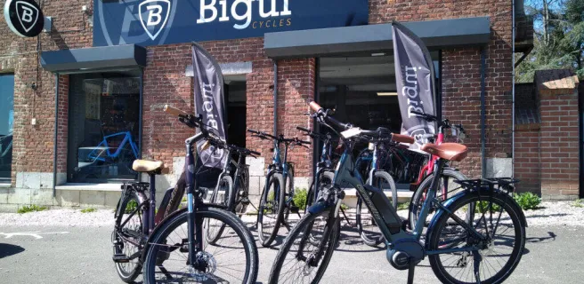 Bigui Cycles