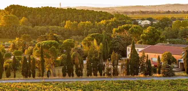 DOMAINE DE L'HERBE SAINTE