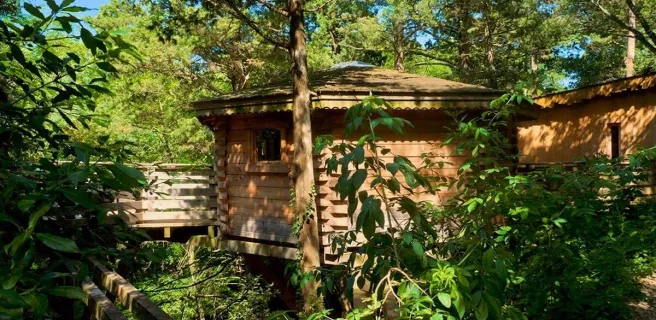 LES CABANES DANS LES BOIS